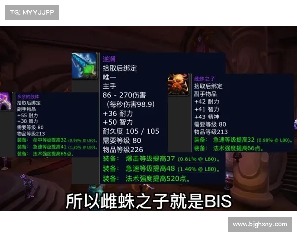 魔兽世界怀旧服t0升级：中心之路